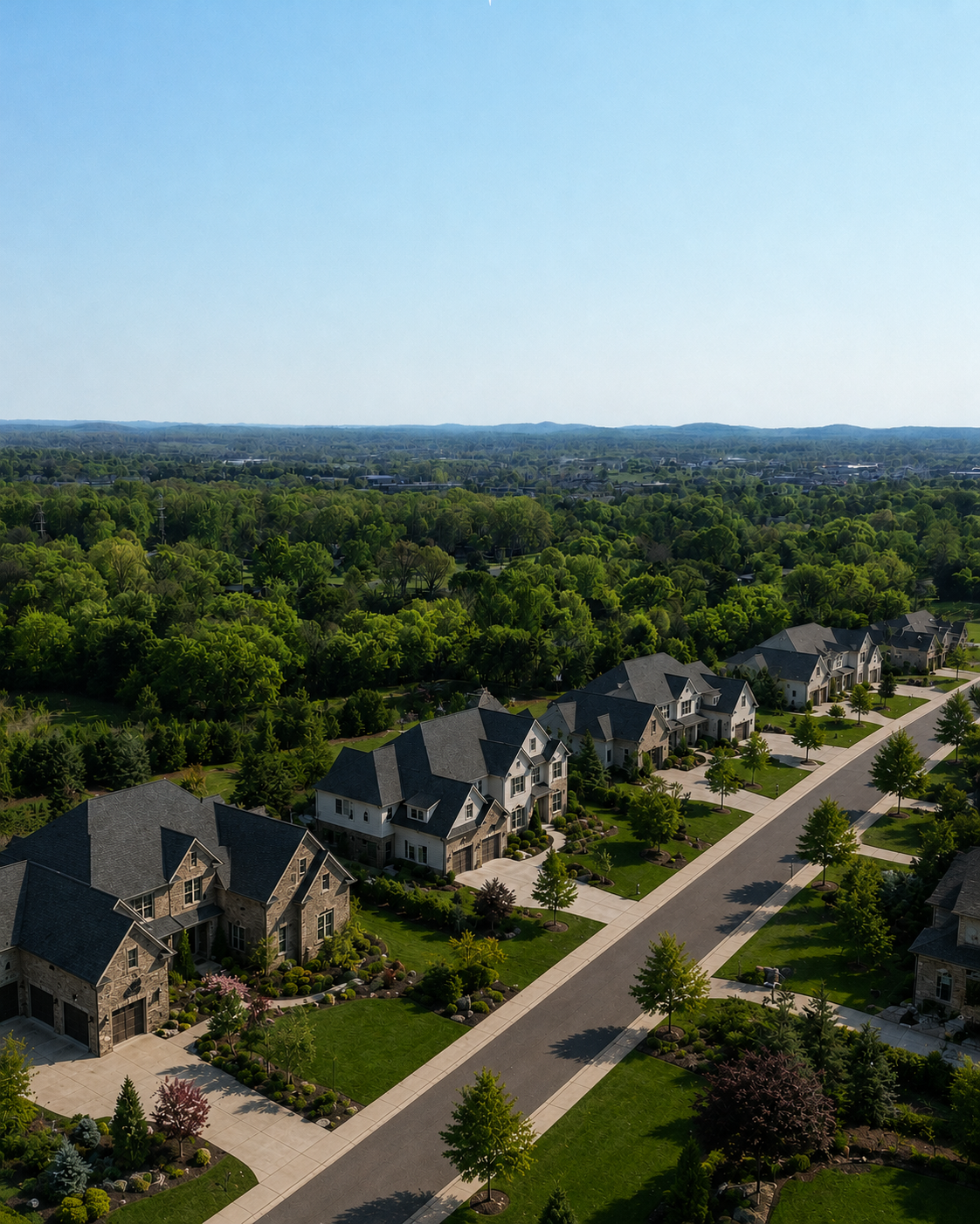Aerial view of a tree-lined neighborhood street with landscaped homes